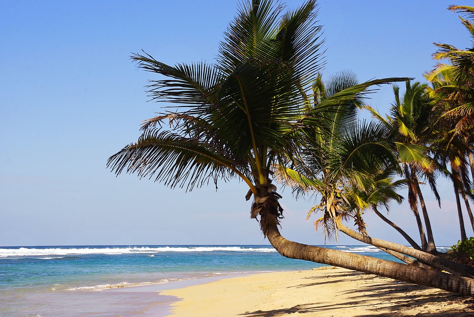 Découvrez les avantages d&rsquo;investir à Punta Cana